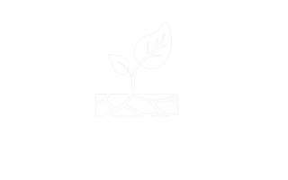 ICONO RESILIENCIA